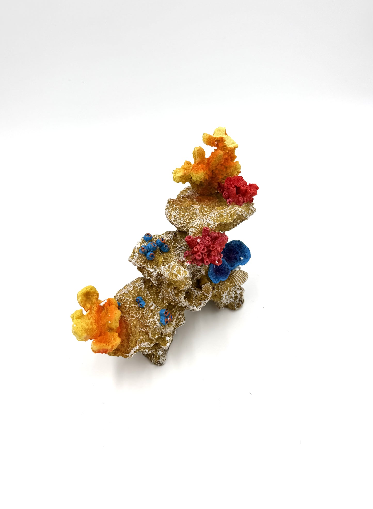 Coral Structure