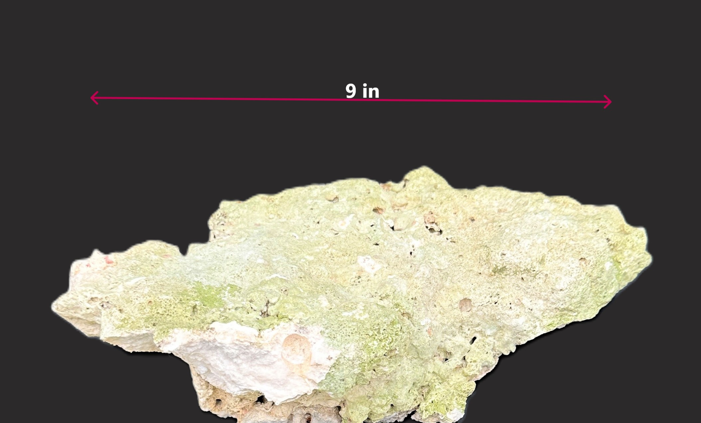 Real Reef Live Rock for Saltwater Aquariums Style C