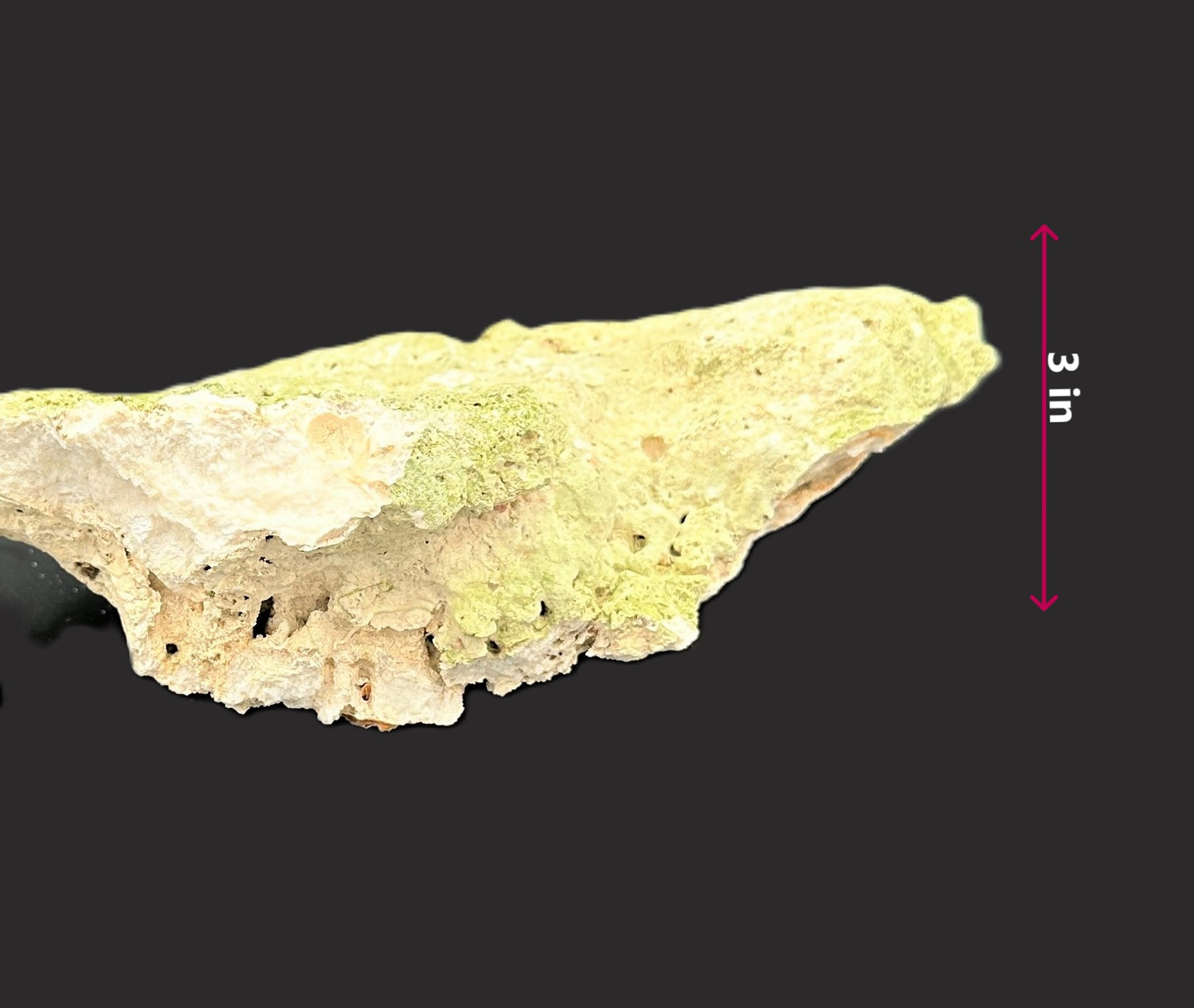 Real Reef Live Rock for Saltwater Aquariums Style C