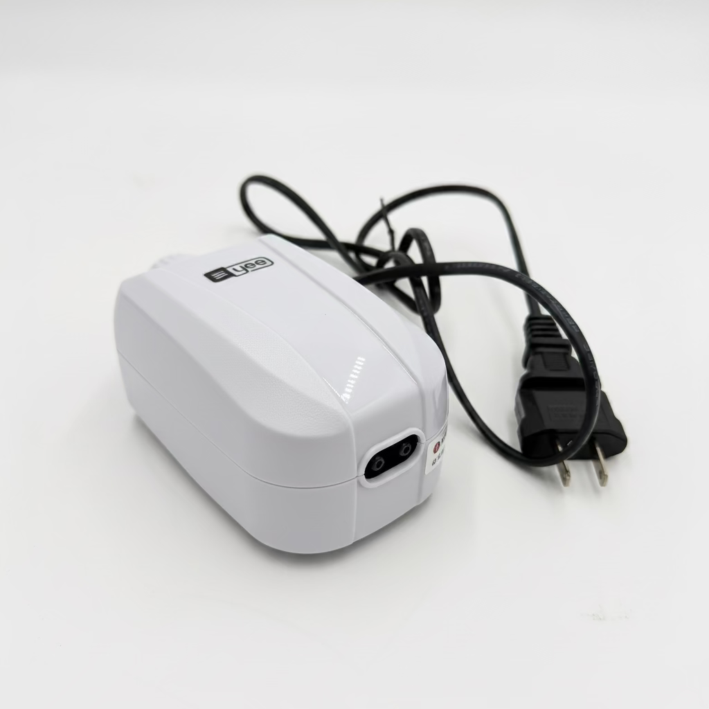 Double Outlet Air Pump