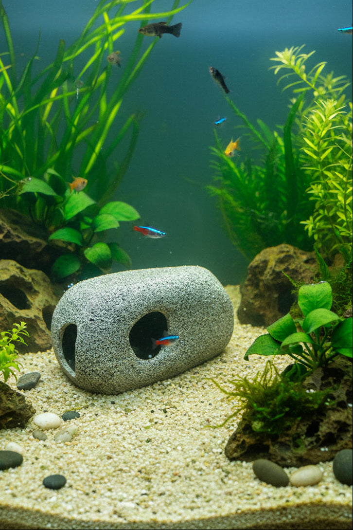 One Rock Structure
