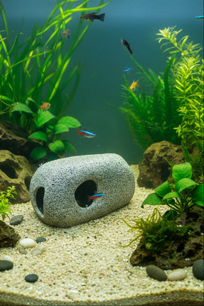 One Rock Structure