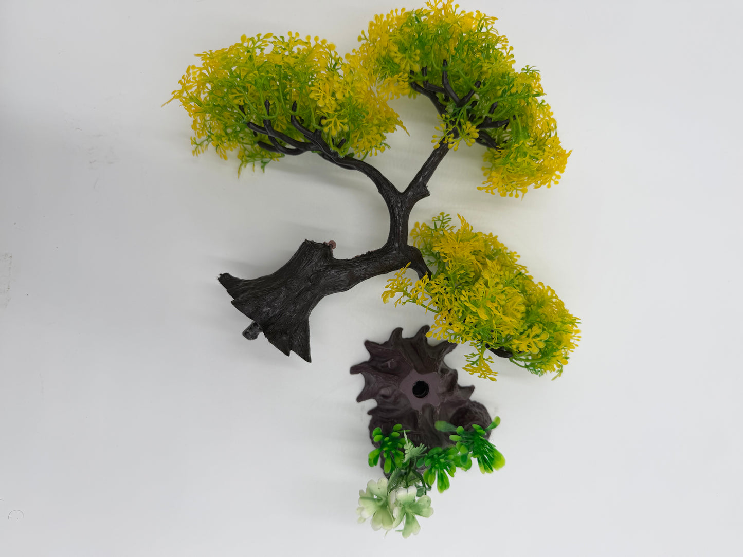 Peaceful Green Tree