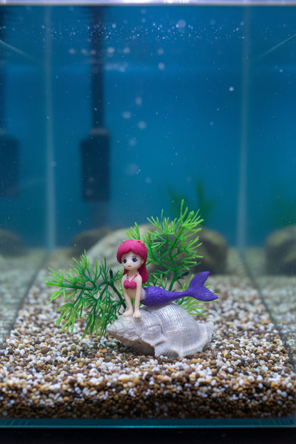 Small Mermaid on Shell