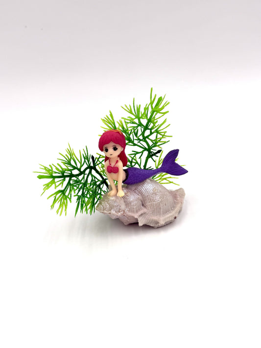 Small Mermaid on Shell