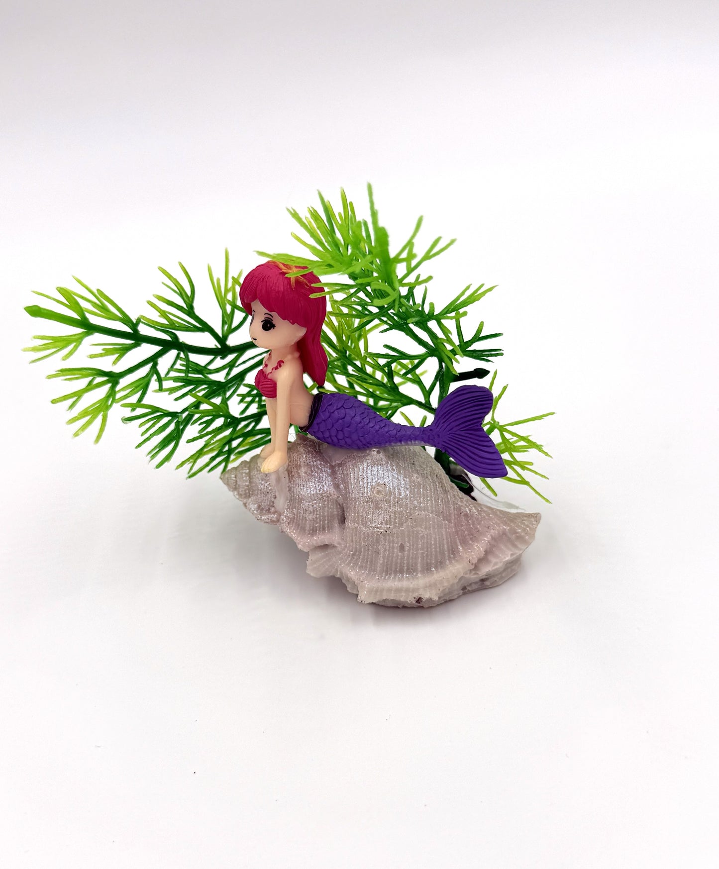 Small Mermaid on Shell
