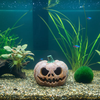 Scary Pumpkin