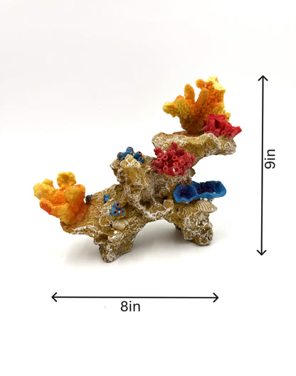 Coral Structure