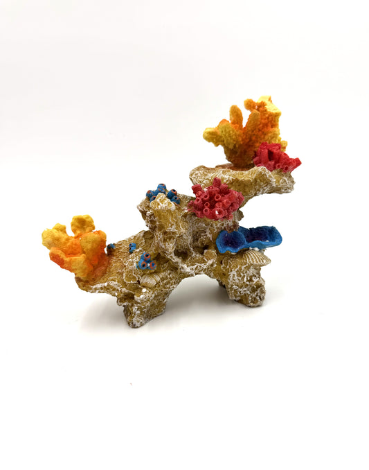 Coral Structure
