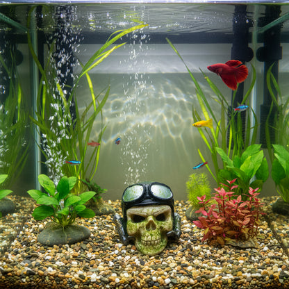 Skull with Helmet