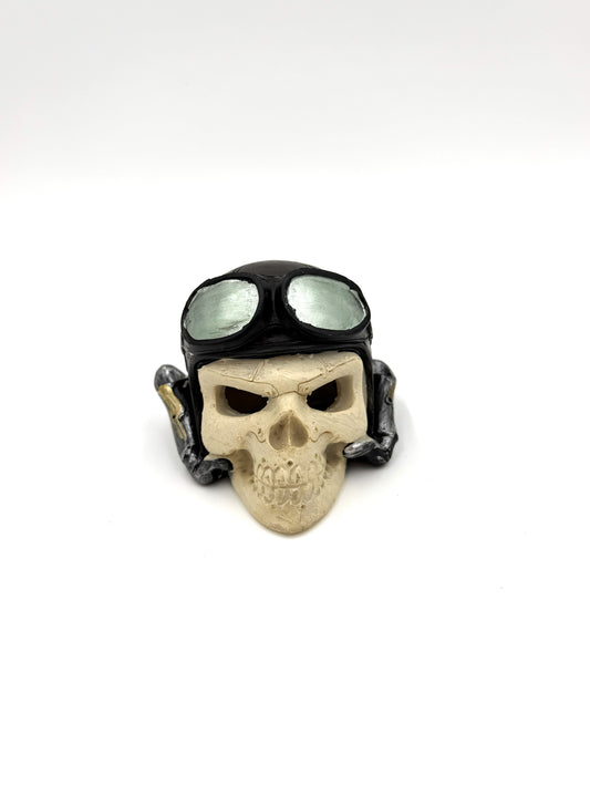 Skull with Bike Helmet
