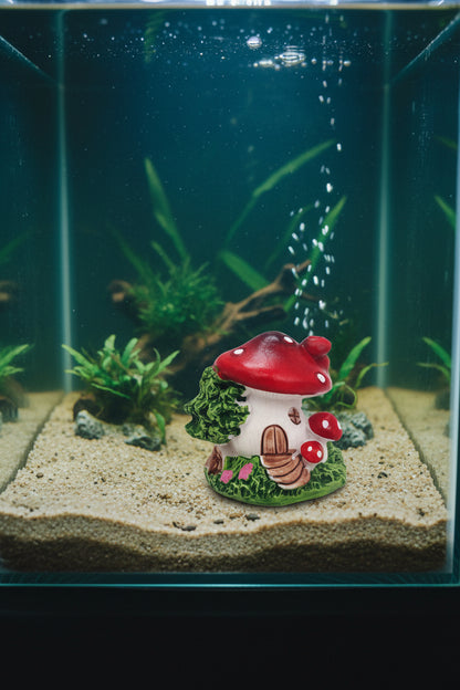 Small Mushroom Home