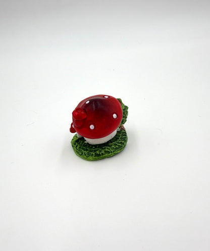 Small Mushroom Home