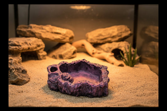 Small Drinking/Feeding Bowl
