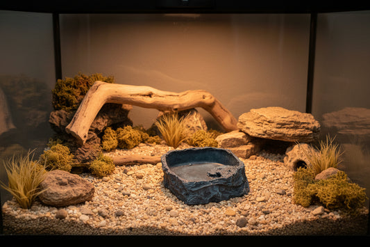Drinking/feeding Bowl