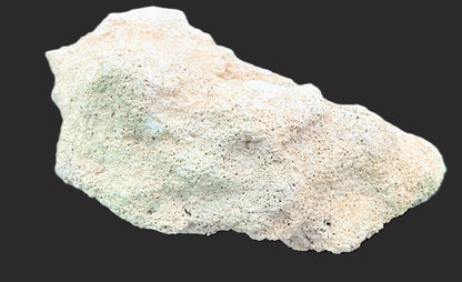 Real Reef Live Rock for Saltwater Aquariums Style A