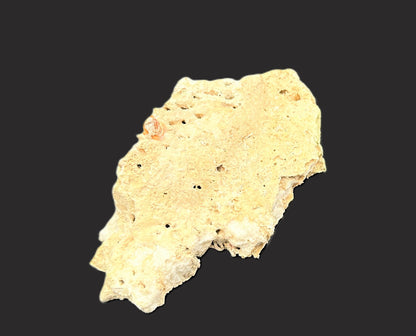 Real Reef Live Rock for Saltwater Aquariums Style C