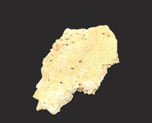 Real Reef Live Rock for Saltwater Aquariums Style C