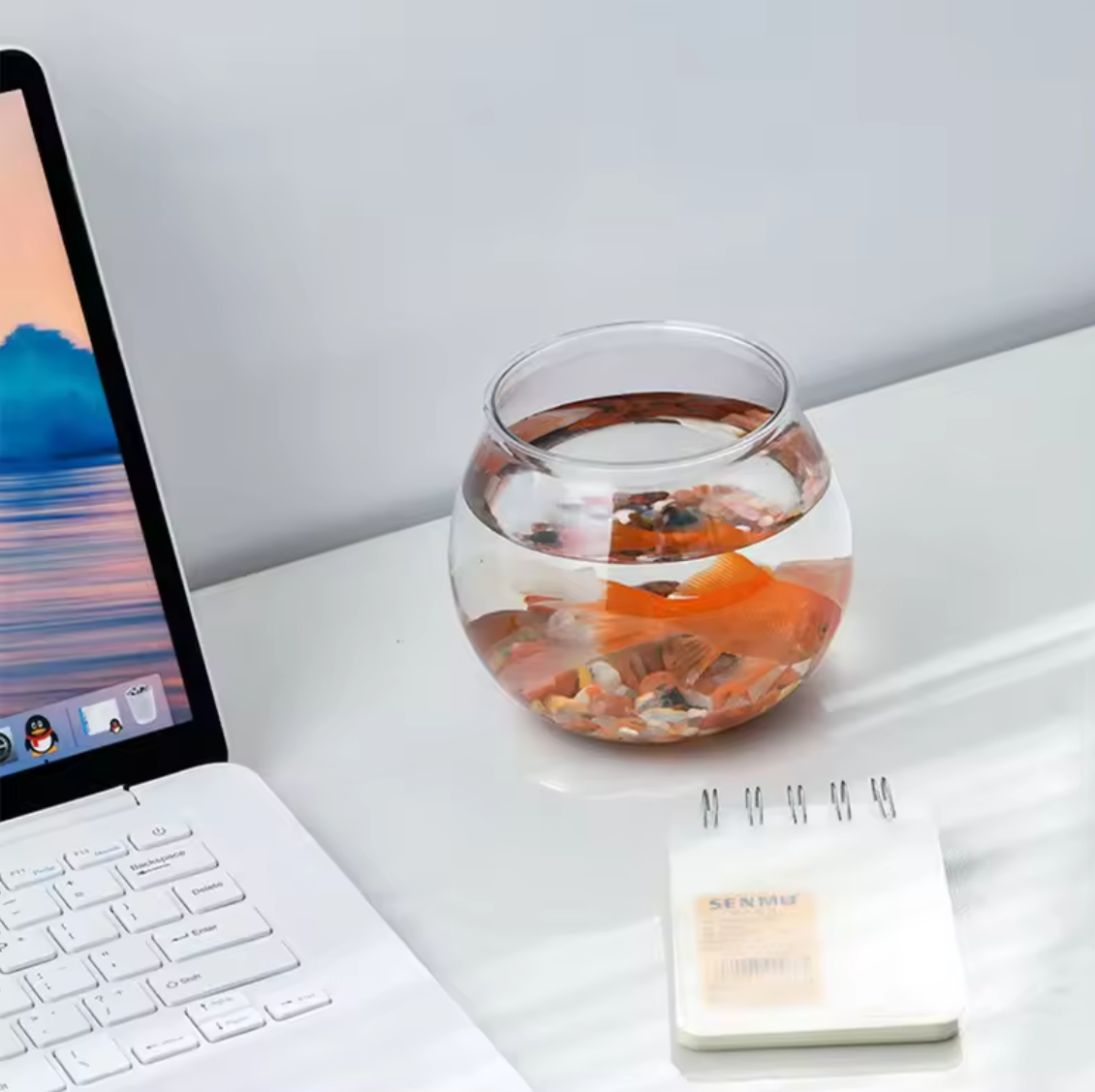 1 Gallon Fish Bowl Clear
