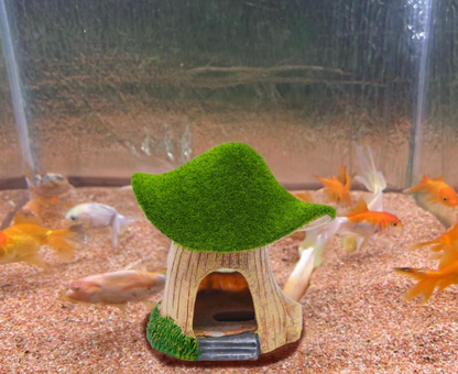 Green Moss Mushroom House