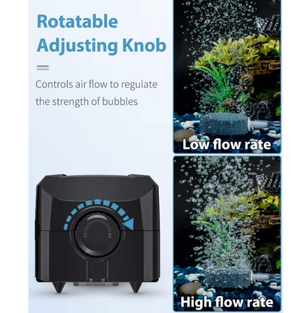 Double Outlet Air Pump