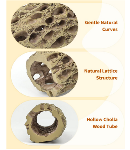 Realistic Resin Cholla Wood