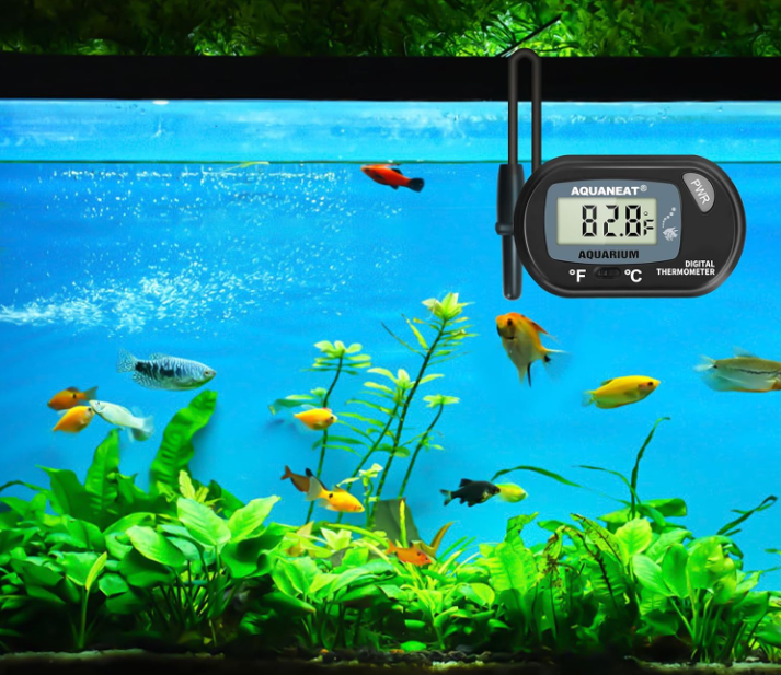 Wired Aquarium Thermometer