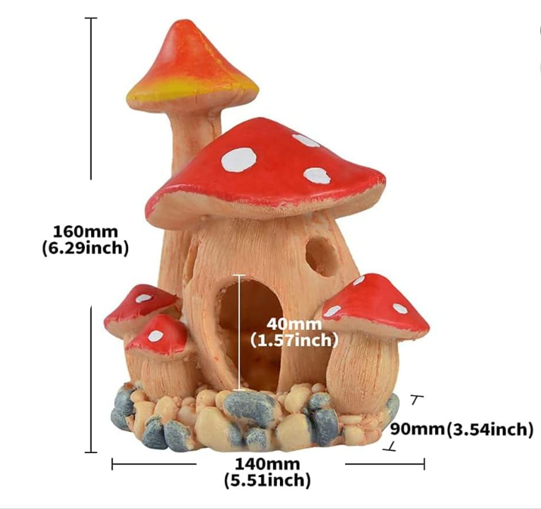 Mushroom House