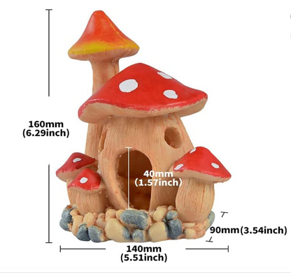 Mushroom House