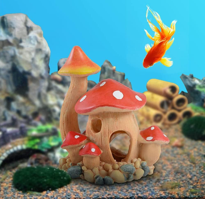 Mushroom House