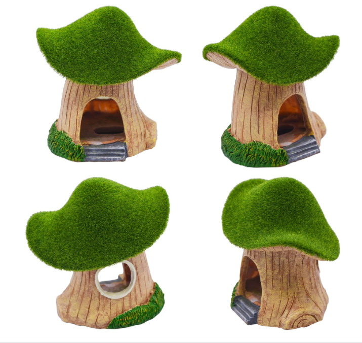 Green Moss Mushroom House