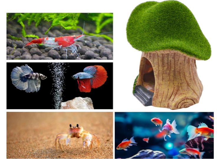Green Moss Mushroom House