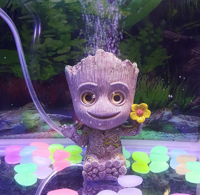 Groot