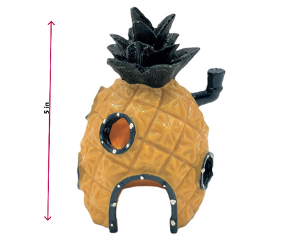SpongeBob's Pineapple House