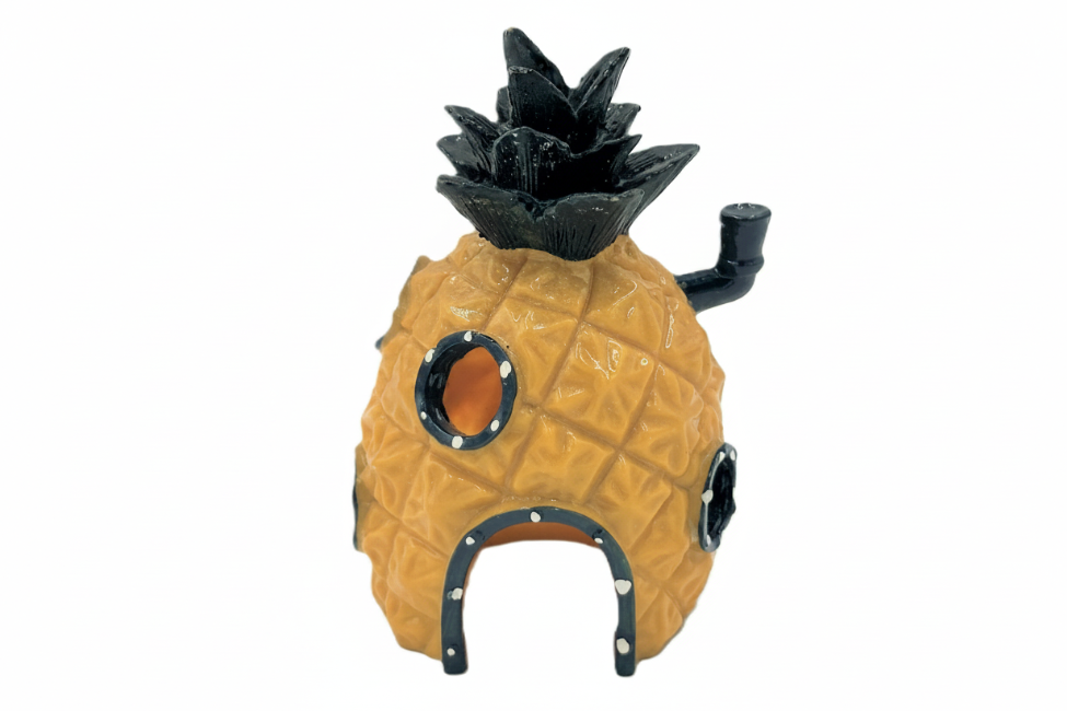 SpongeBob's Pineapple House