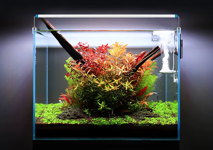 Aquarium LED Light